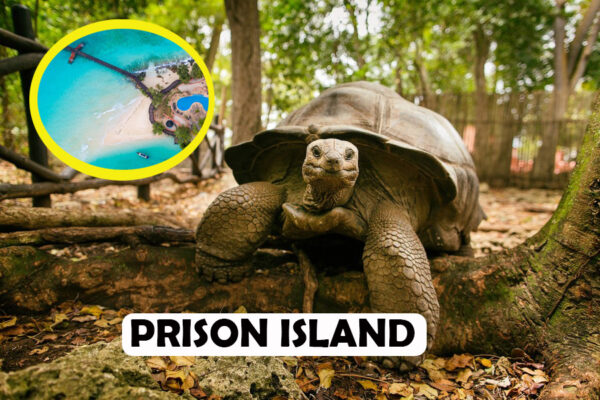 PRISON ISLAND TOUR